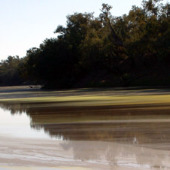 Temperature and light can influence algal and water plant growth Photo by Queensland Government