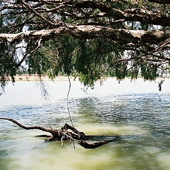 Burdekin River, Photo by Water Planning Ecology Group, DSITIA