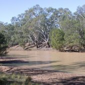 Balonne River, Photo by Water Planning Ecology Group, DSITIA