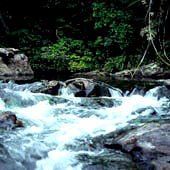 River rapids, Photo by Water Planning Ecology Group, DSITIA