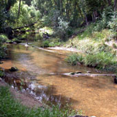 Jardine River, Photo by Water Planning Ecology Group, DSITIA
