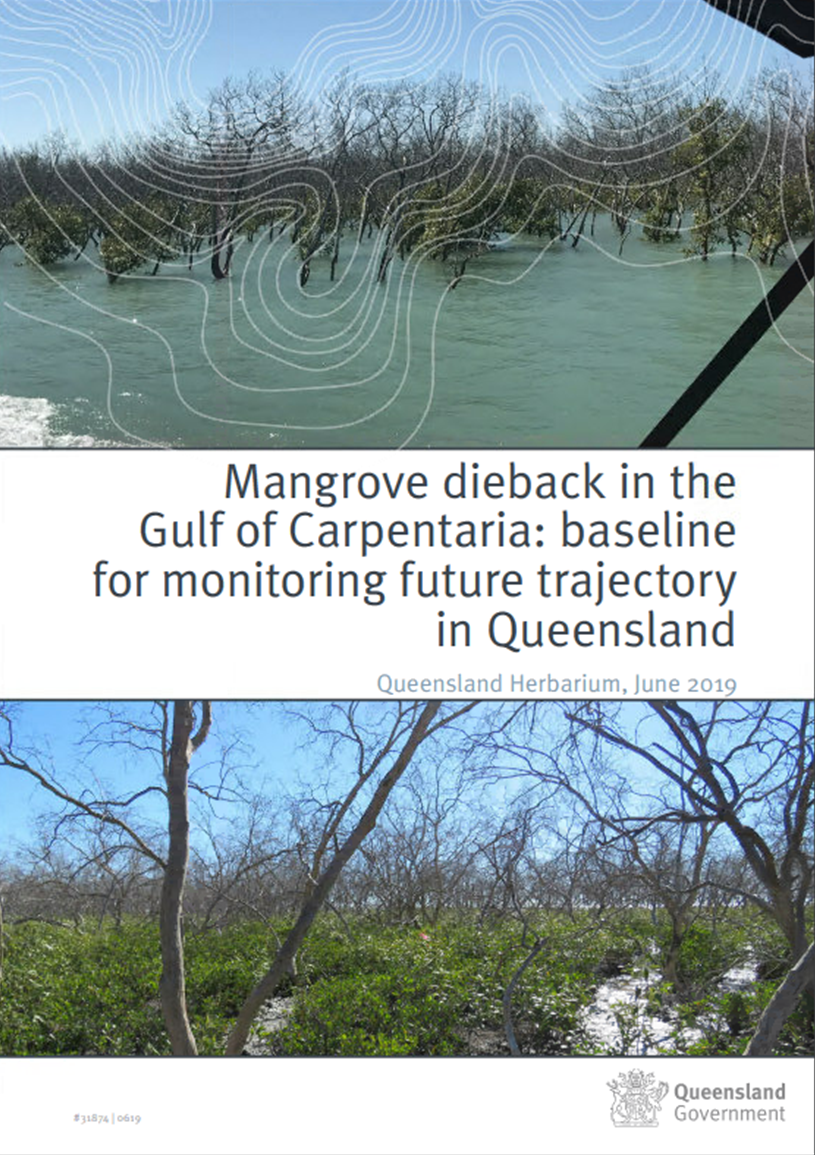 Click on image to view the Mangrove dieback in the Gulf of Carpentaria Map Story