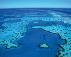 Great Barrier Reef  Photo by Queensland Government