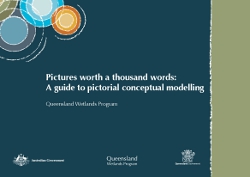 Pictures worth a thousand words: A guide to pictorial conceptual modelling