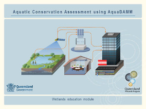 Aquatic Conservation Assessment using AquaBAMM