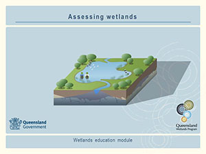 Assessing wetlands