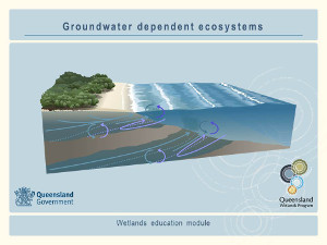 Groundwater dependent ecosystems