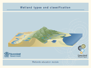 Wetland types and classification